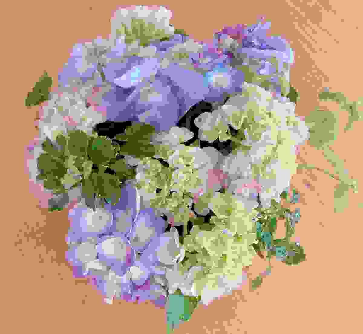 Section image