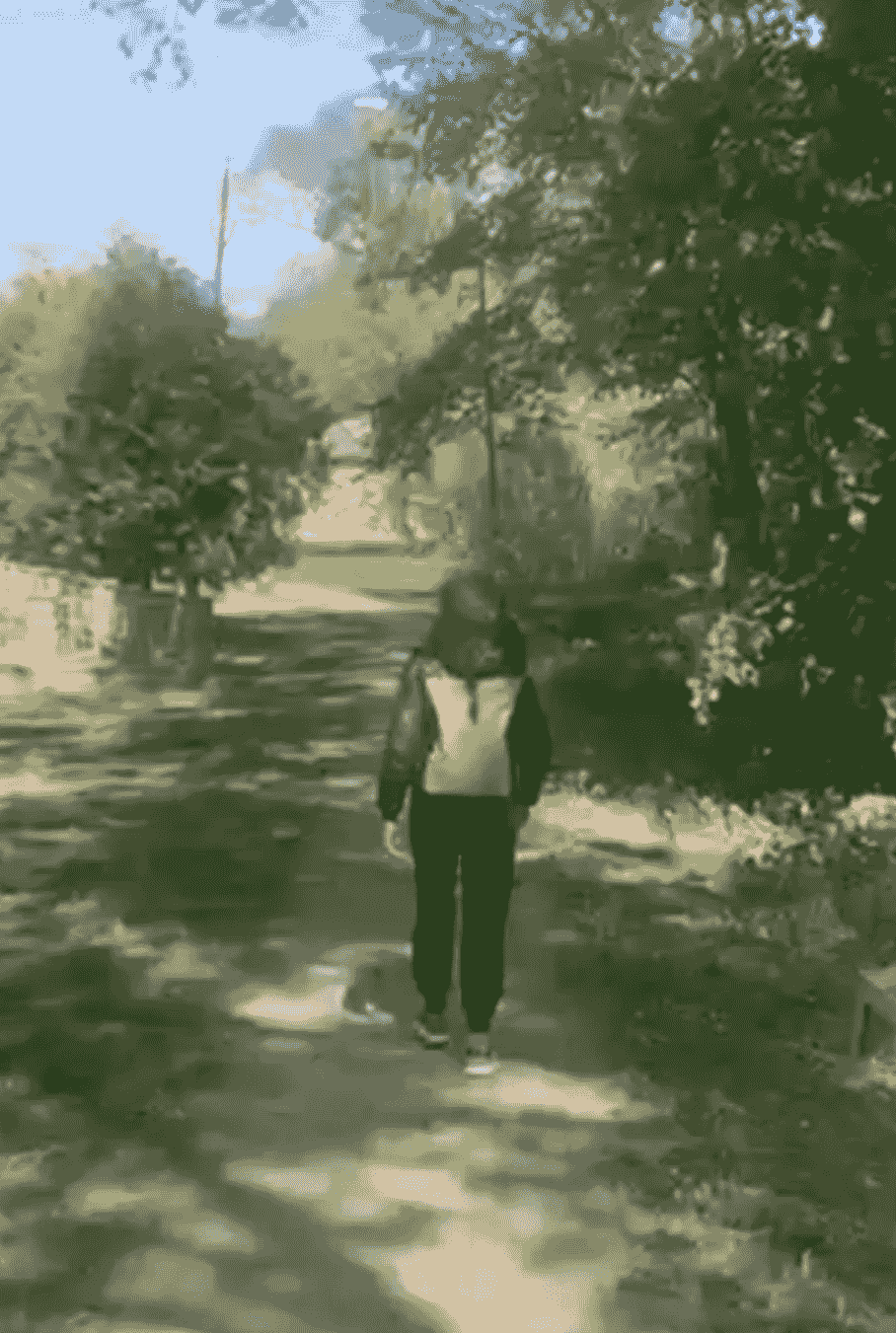 broken image