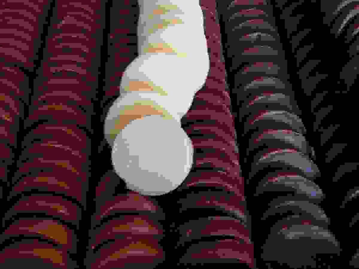 Section image