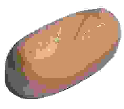 Section image