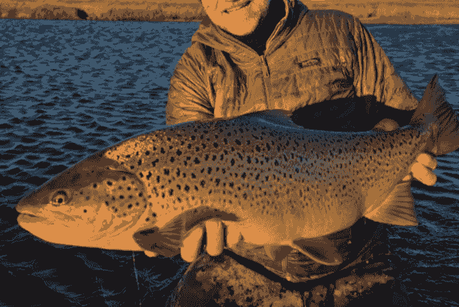 Our experienced guides provide personalized instruction, local knowledge, and safety assurance to ensure you have a successful fishing trip. Expert Guides Our Adventure Experience Adventure Tourism industry. Destination fly fishing - about the company, host, guides, and various options for destinations and information about the fish found there. Our experienced guides provide personalized instruction, local knowledge, and safety assurance to ensure you have a successful fishing trip. Expert Guides Our Adventure Experience Adventure Tourism industry. Destination fly fishing - about the company, host, guides, and various options for destinations and information about the fish found there.