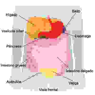 Get accurate and reliable diagnoses Welcome to the Computed Tomography Service Computed tomography service Get accurate and reliable diagnoses Welcome to the Computed Tomography Service Computed tomography service