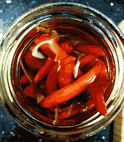 Hot peppers, hot sauce peppers Hot peppers, hot sauce peppers