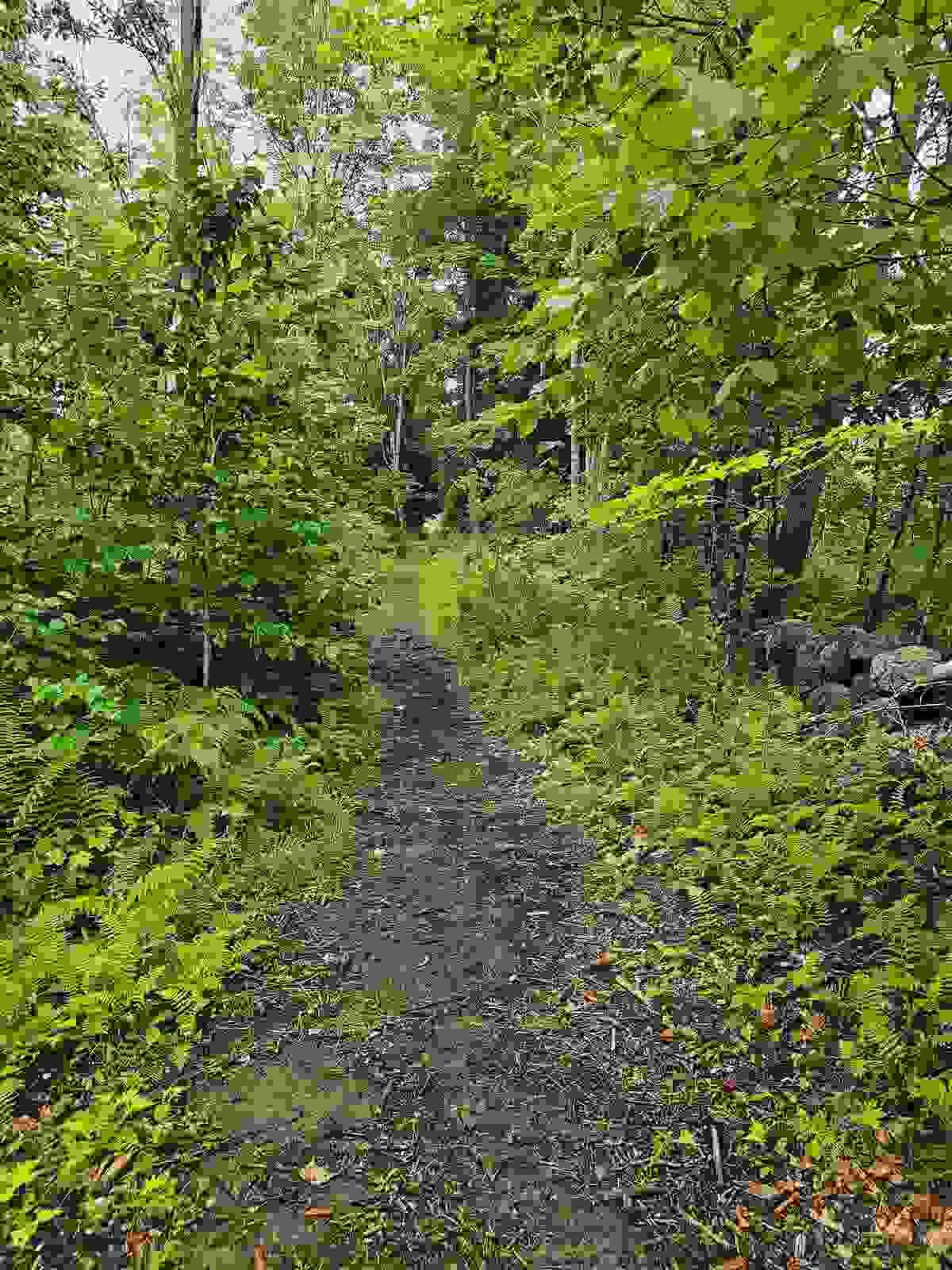 Section image