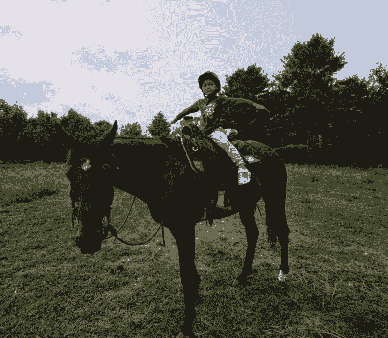 Horseback riding lesson at Black Creek Farm in Salisbury, NH Horseback riding lesson at Black Creek Farm in Salisbury, NH