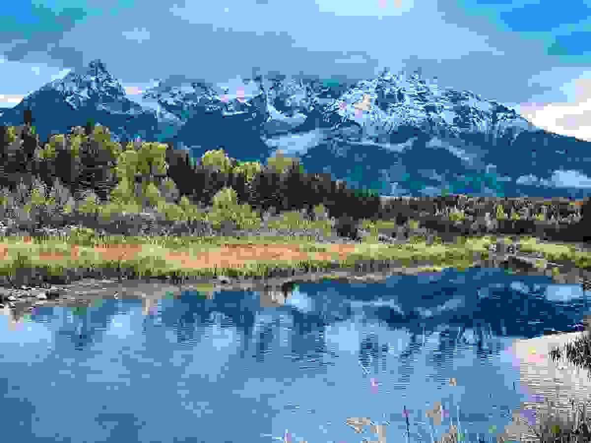 Section image