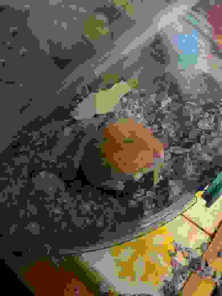 broken image
