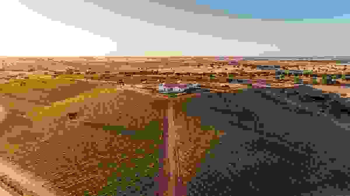 Section image