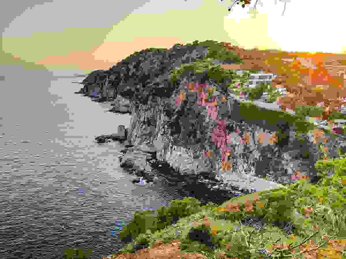 Section image