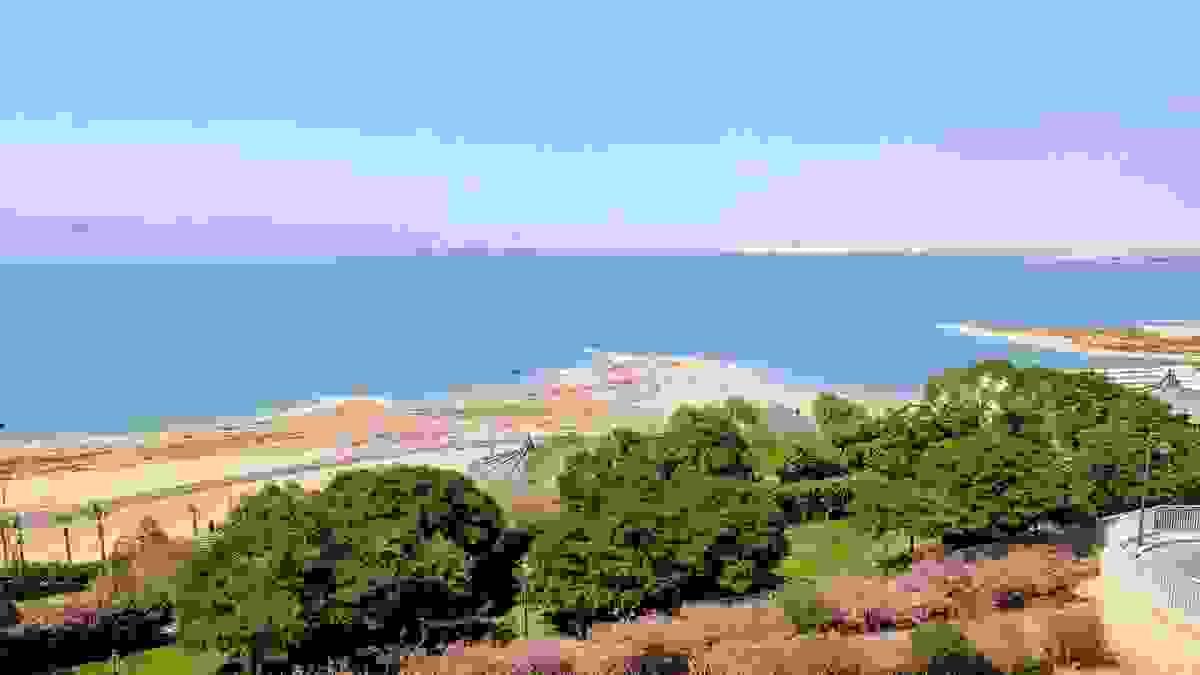 Section image
