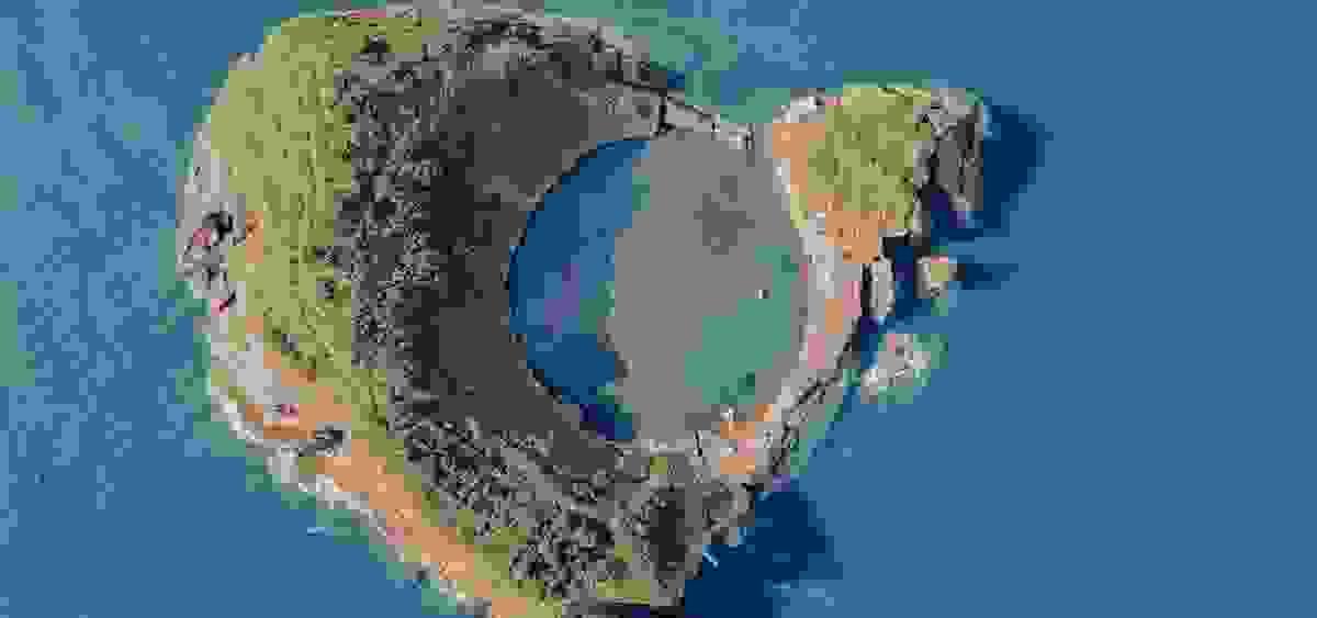 Section image