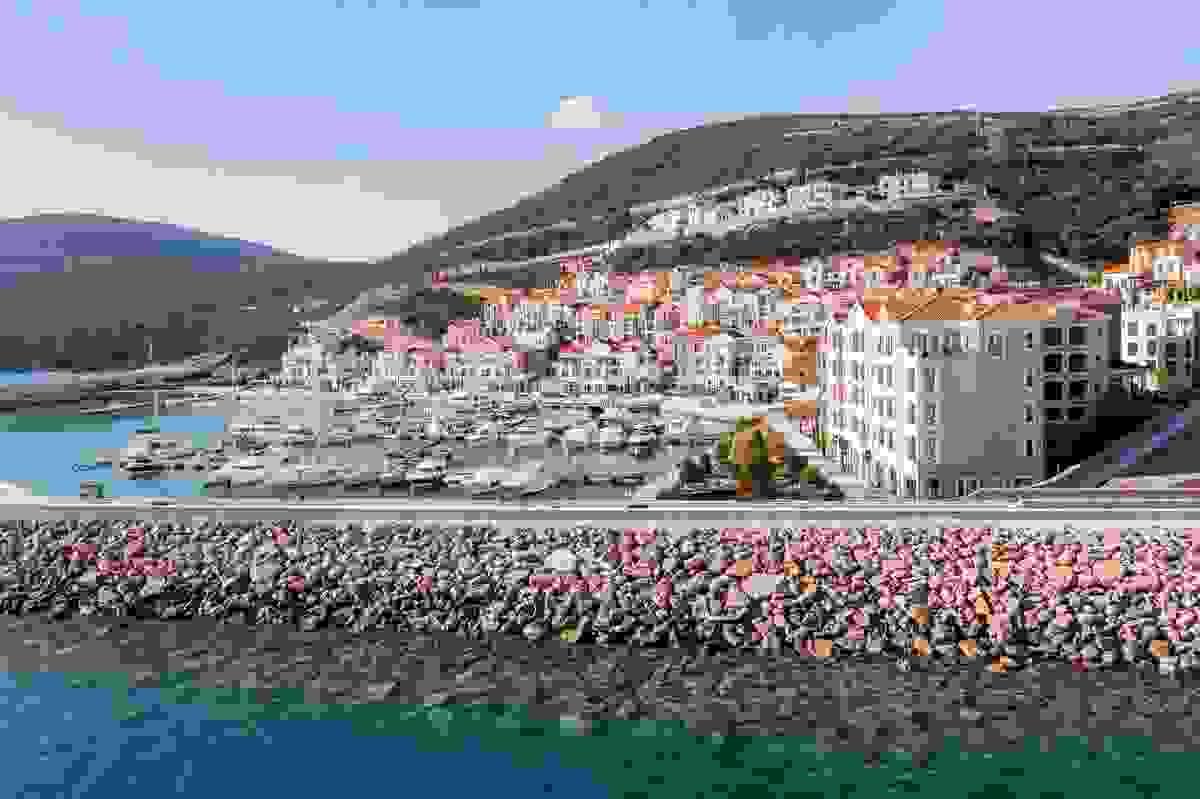 Section image