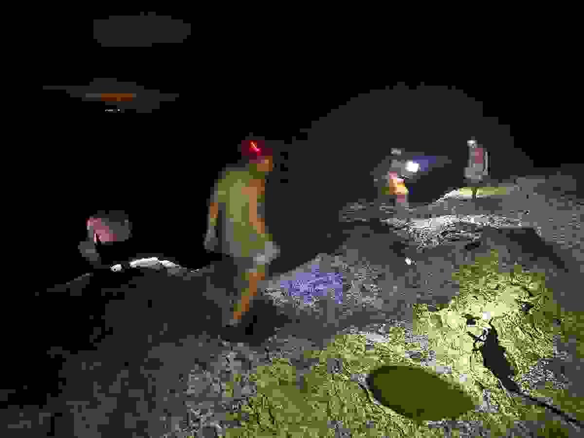 Section image