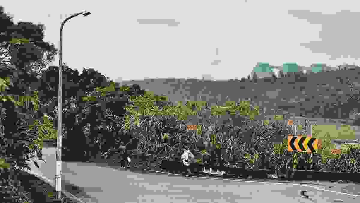 Section image