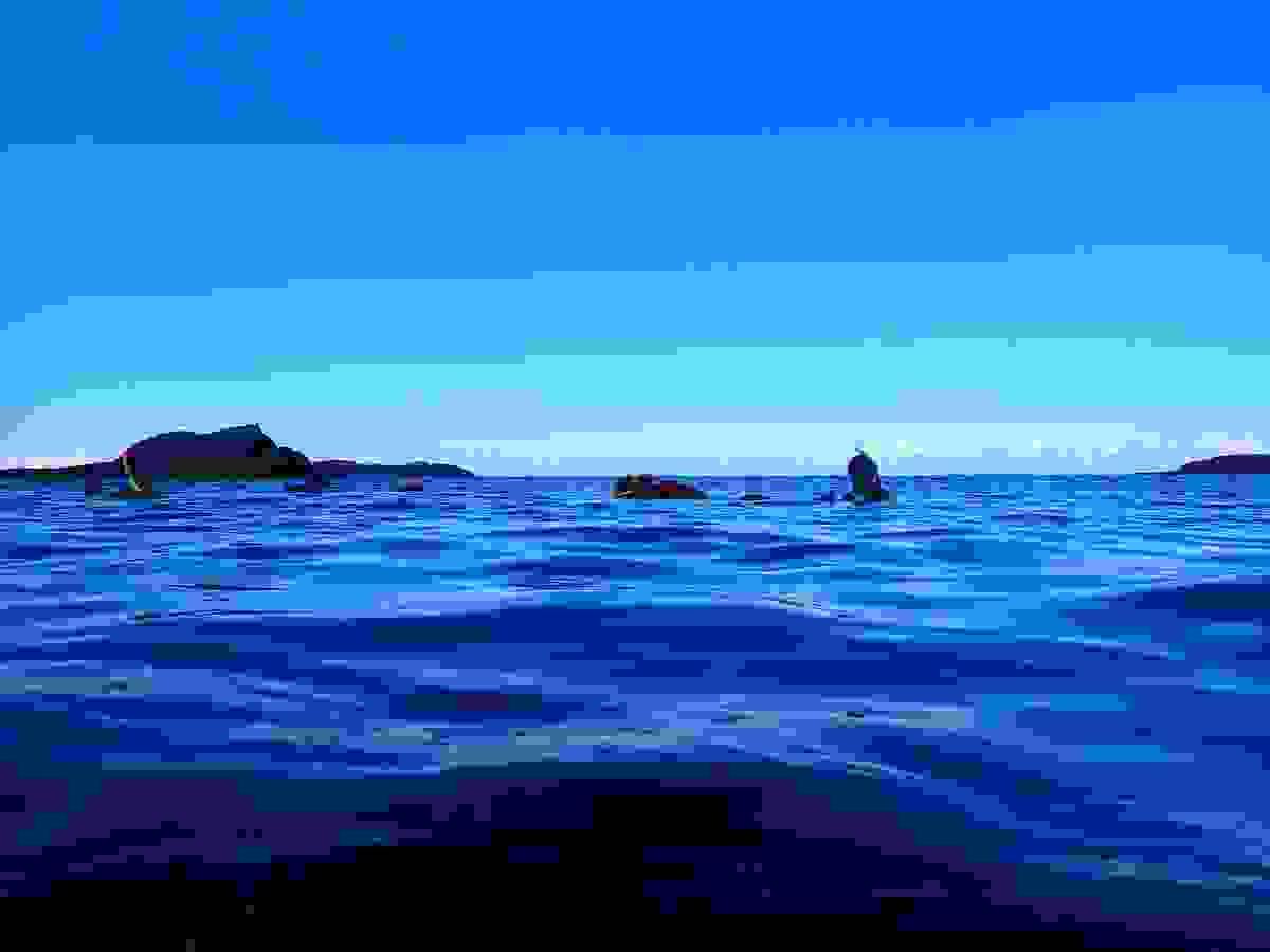 Section image