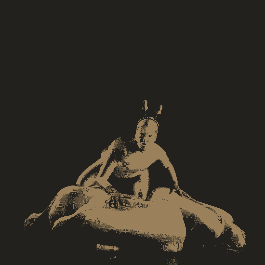 Section image