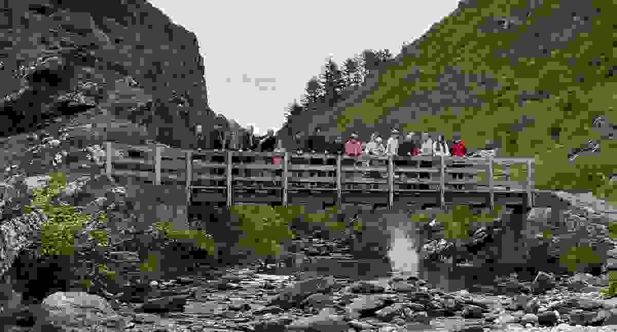 Section image