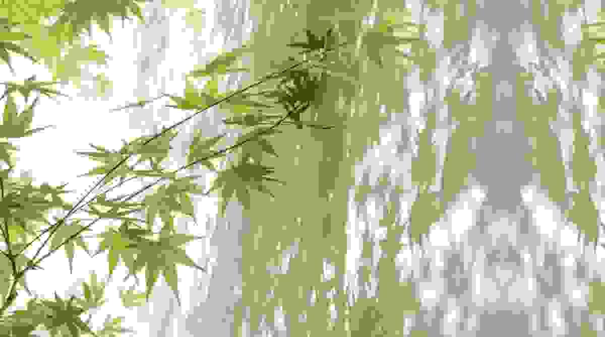 broken image