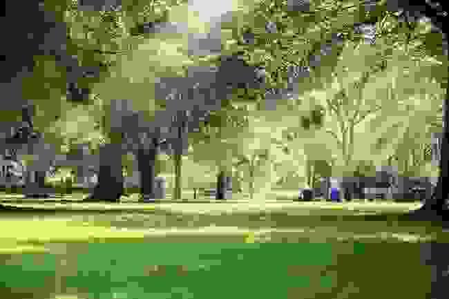 broken image