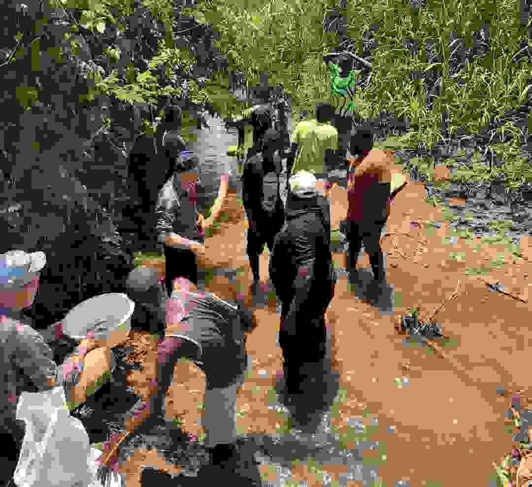 Section image