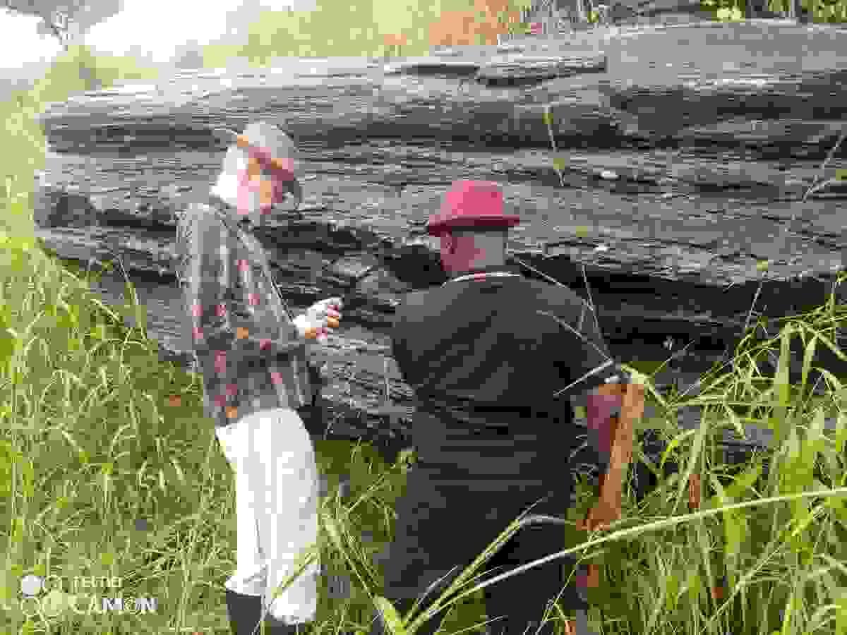 Section image