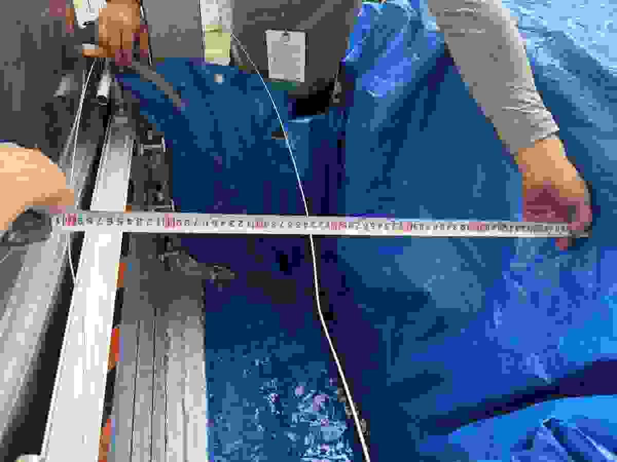 broken image