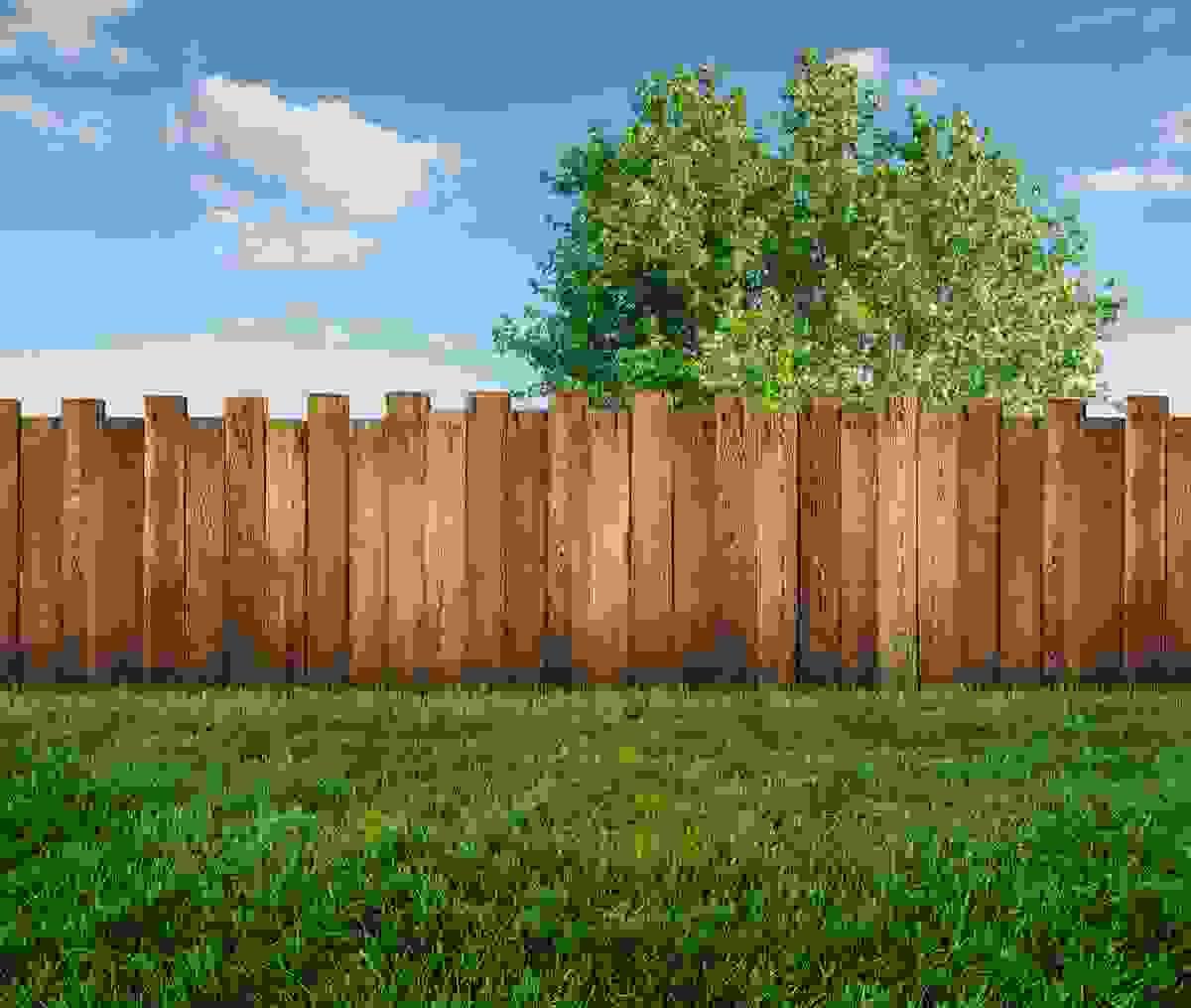 broken image