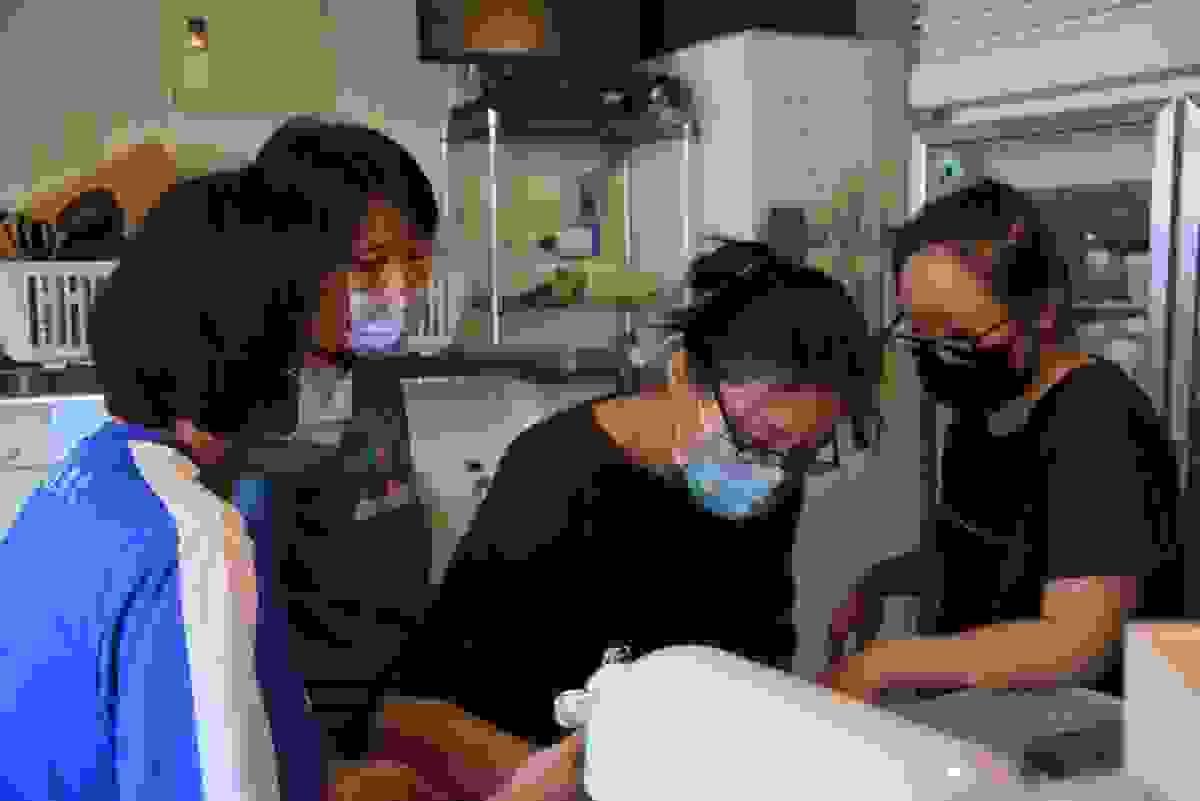 broken image