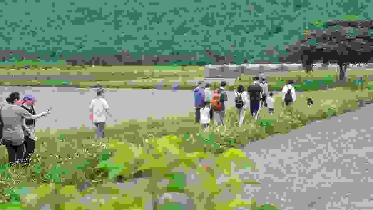 broken image