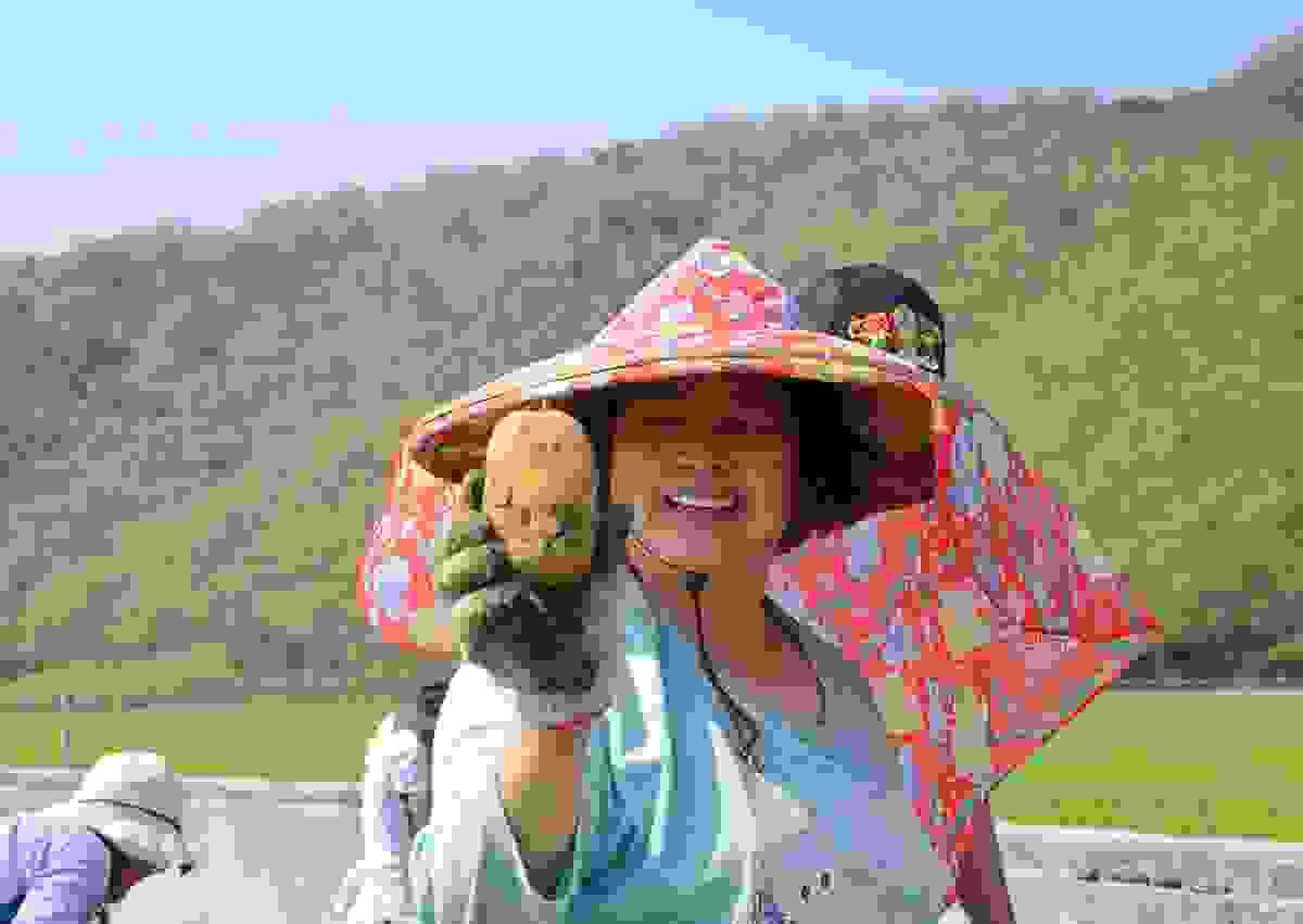 broken image