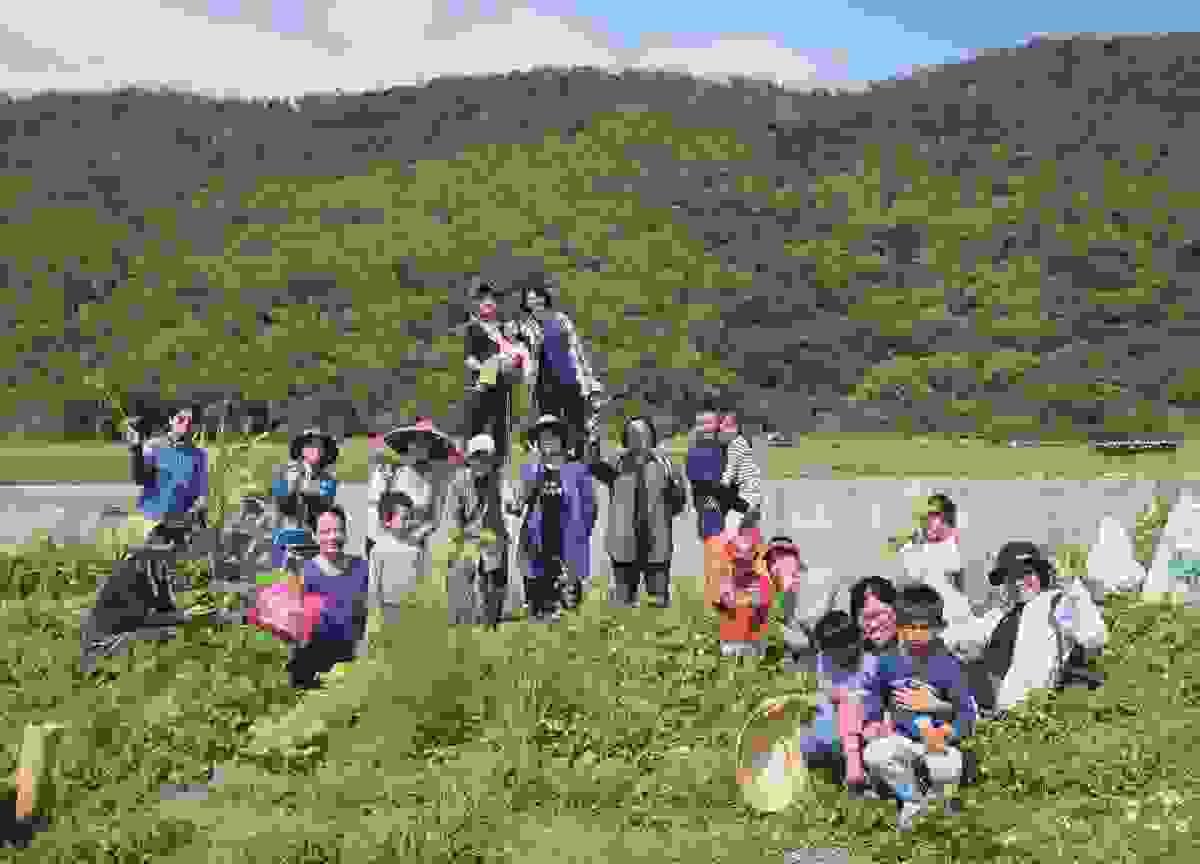broken image