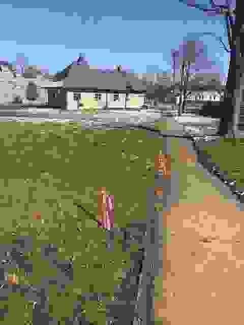 Section image