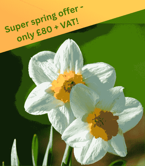 Five-Minute Coach coaching offer Five-Minute Coach coaching offer