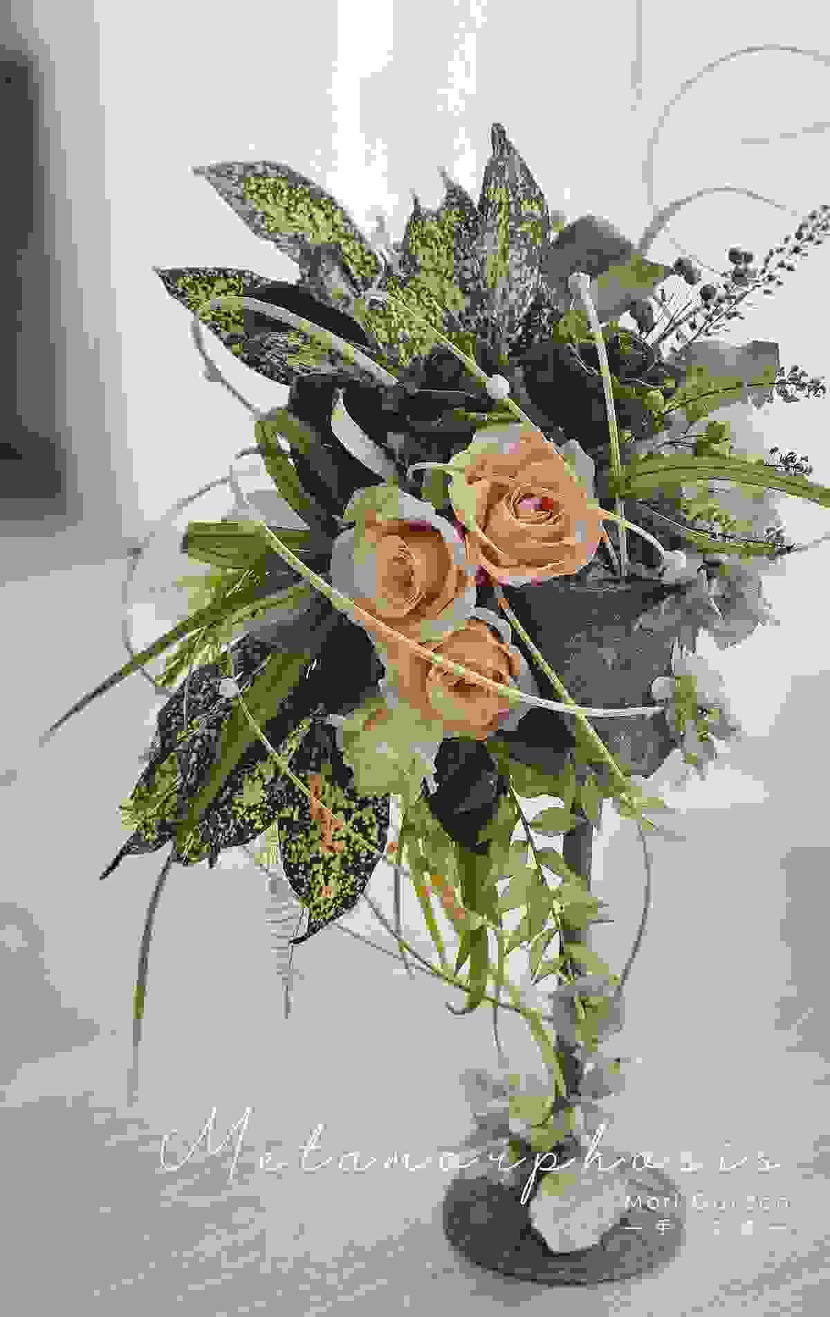 broken image