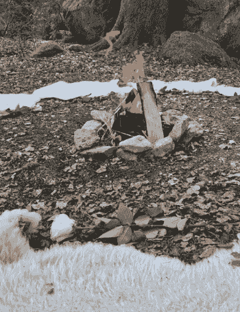 Section image