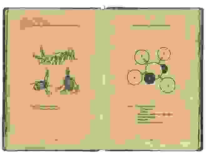 Section image
