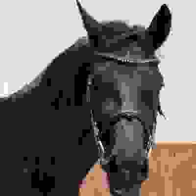 broken image