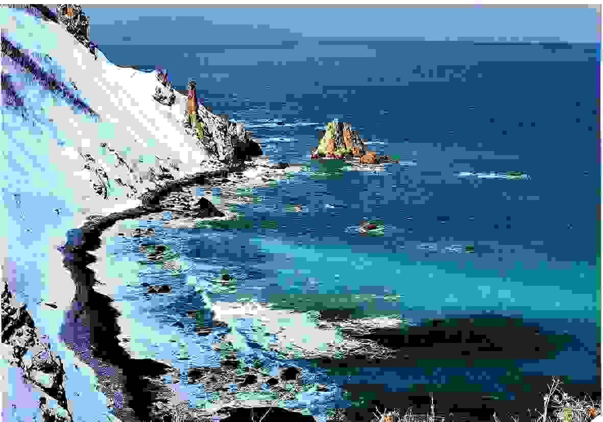 Section image