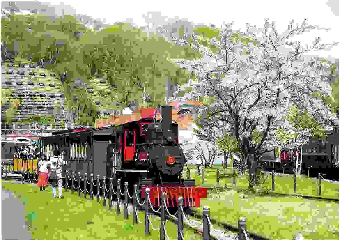 Section image