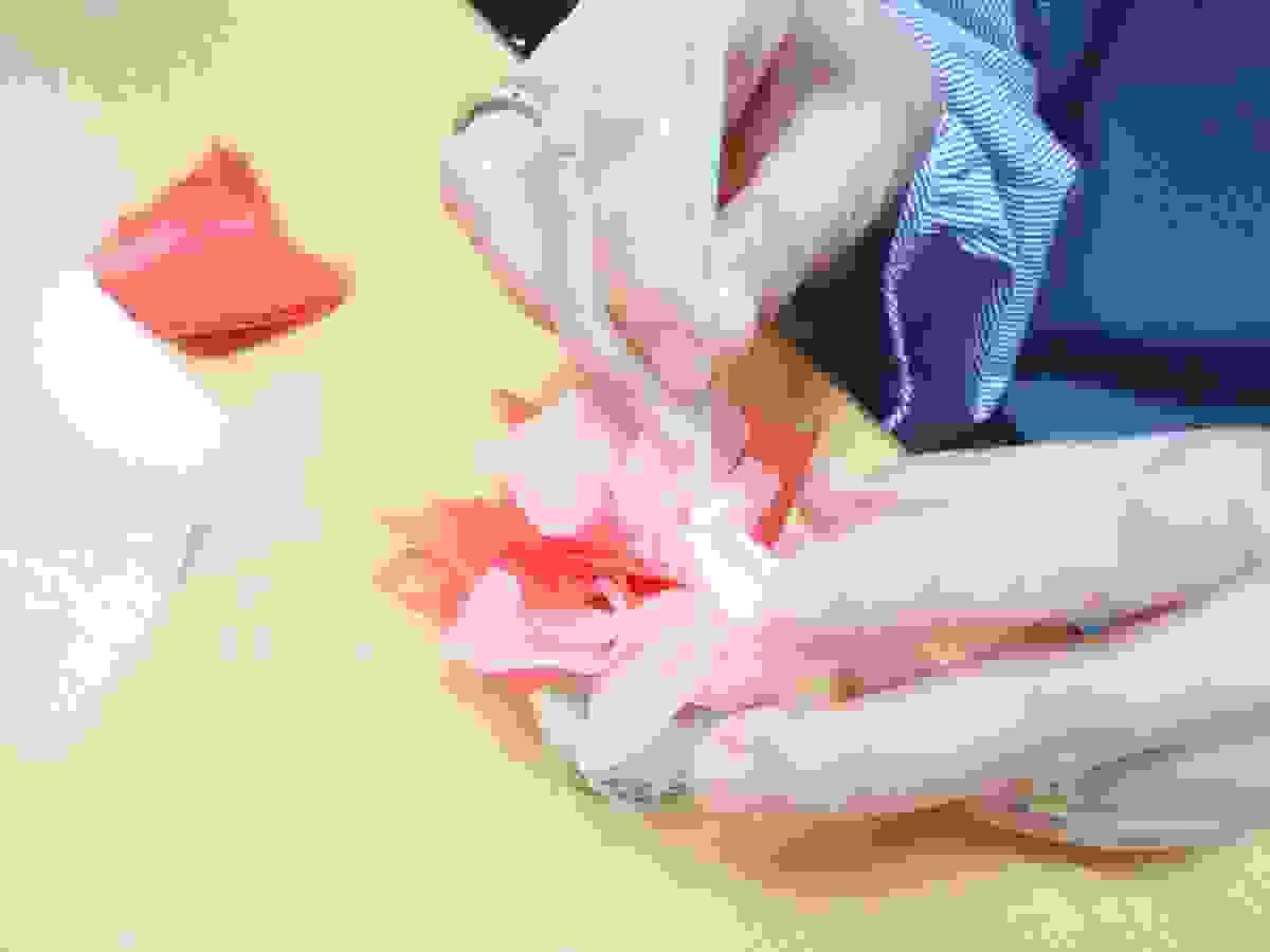 Section image