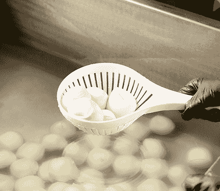 Mozzarella balls being lifted from natural brine during production. Mozzarella balls being lifted from natural brine during production.