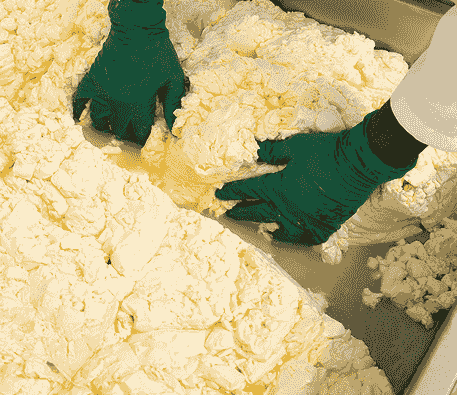 Hands stretching fresh mozzarella curd during the traditional Fior di Latte cheesemaking process. Hands stretching fresh mozzarella curd during the traditional Fior di Latte cheesemaking process.