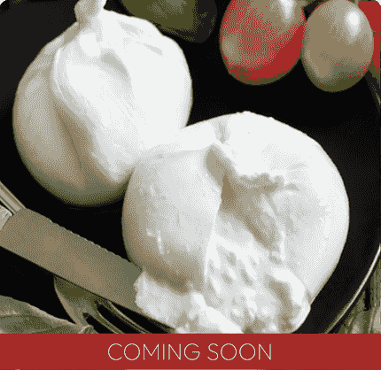 Creamy burrata cut open to reveal its soft centre. Creamy burrata cut open to reveal its soft centre.