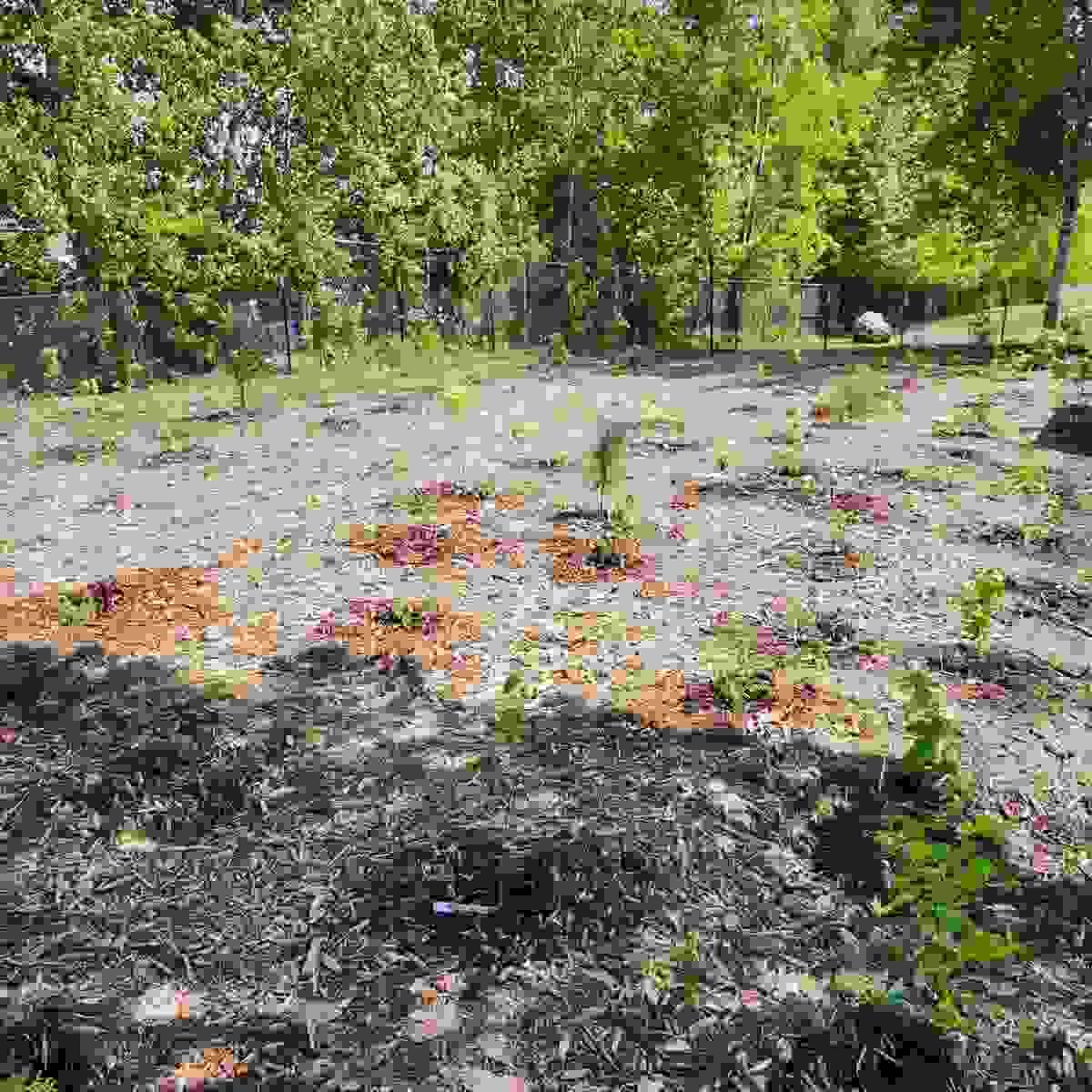 broken image
