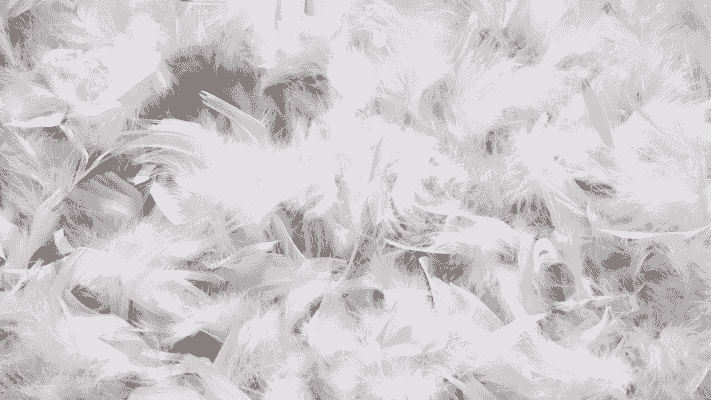 Down Feathers