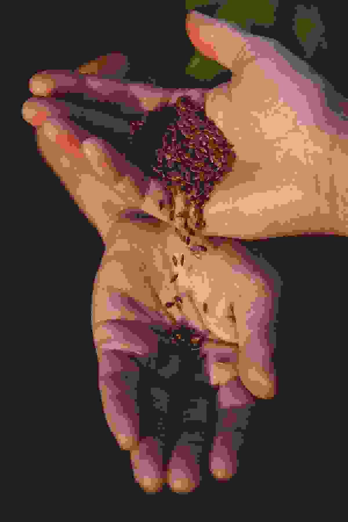 Section image
