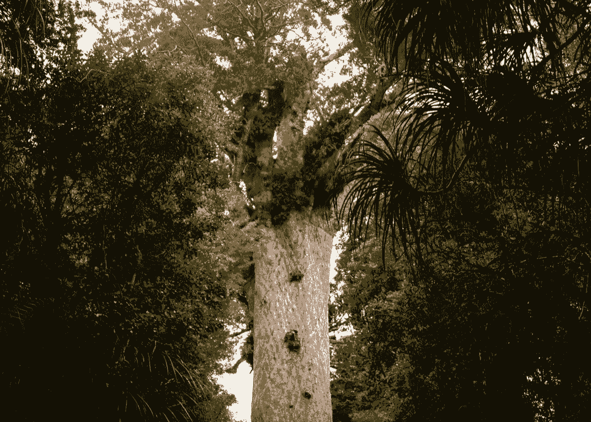 Section image