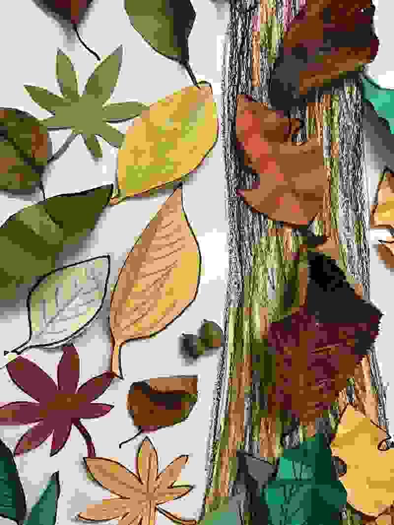 Section image