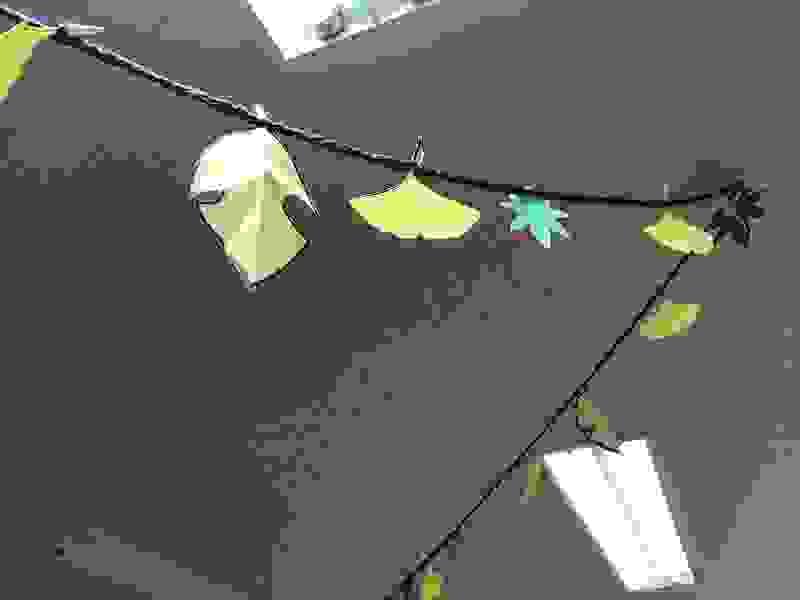 Section image
