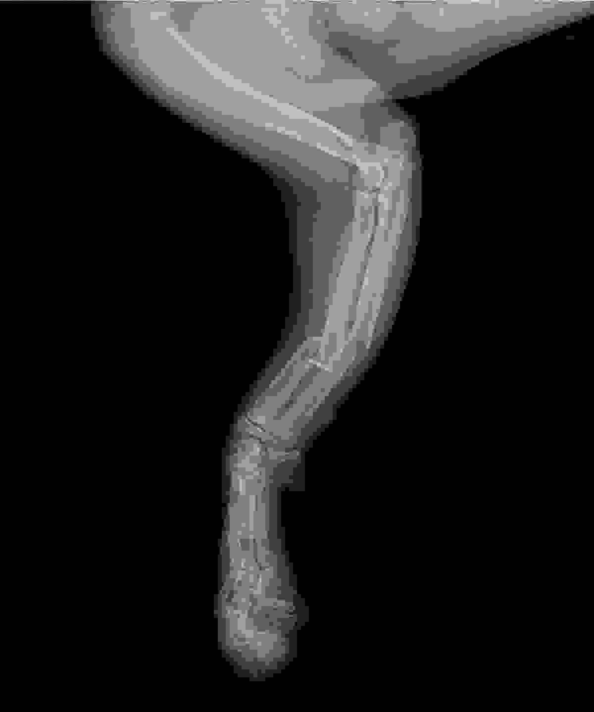 Section image